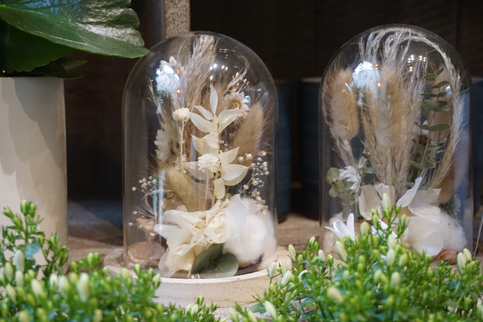 fleurs sechees fleuriste